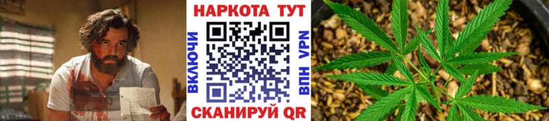 Купить наркотики Данилов Псилоцибиновые грибы СК ГАШ Марихуана