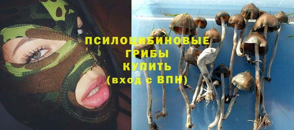 2c-b Алексеевка