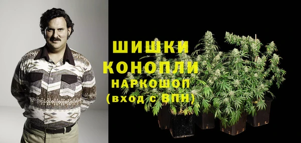 ешки Алексин