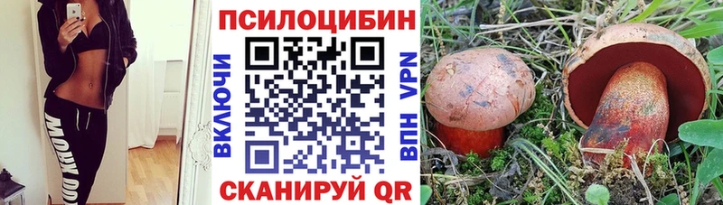 Псилоцибиновые грибы мицелий Данилов
