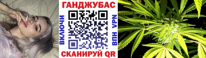 сколько стоит Данилов мега вход Канабис конопля